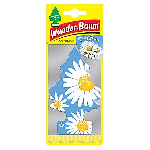 1 stk. Wunderbaum daisy flower