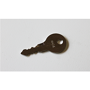 BUZZ KEY NR KH02 NØGLE VED TRÆKLÅS