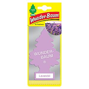 1 stk. Wunderbaum Lavendel